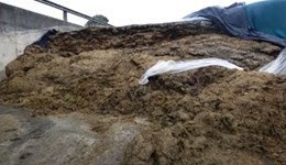 Lanark: Clamp silage slippage and optimising home grown forage